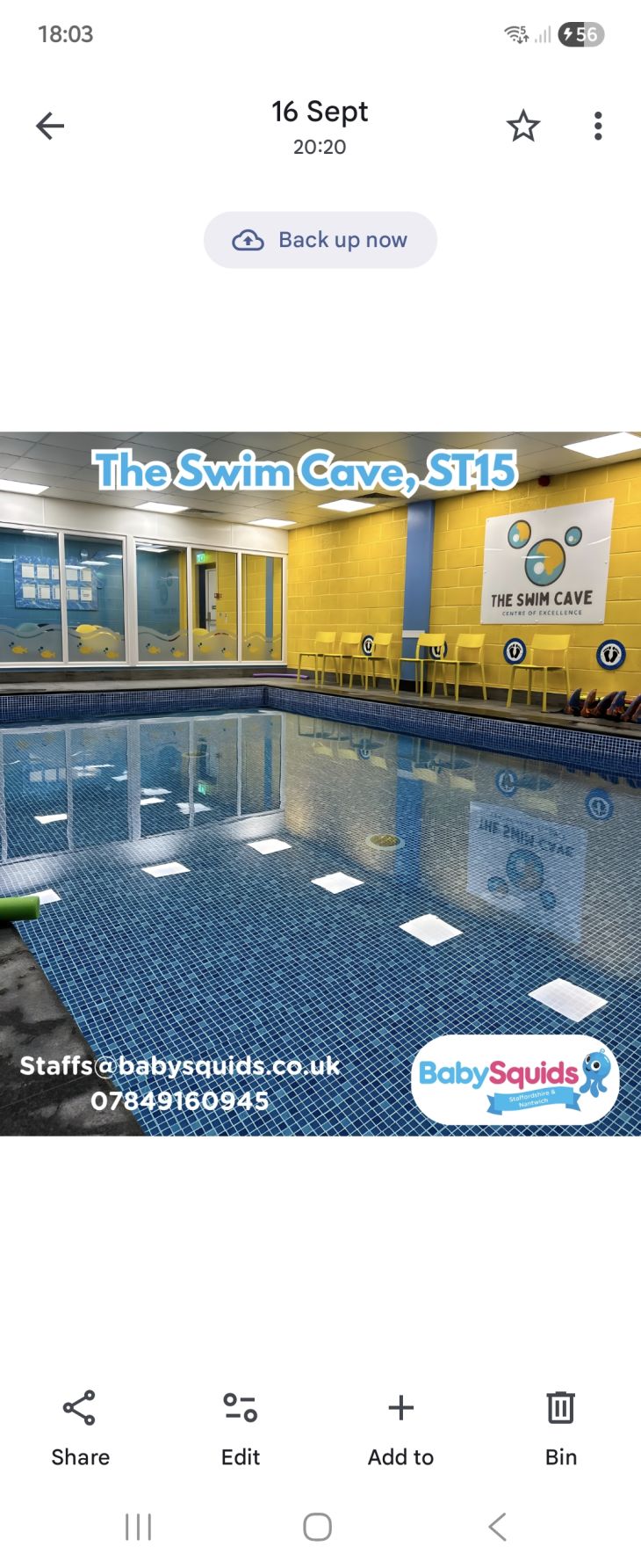 Baby Squids at The Swim Cave, ST15