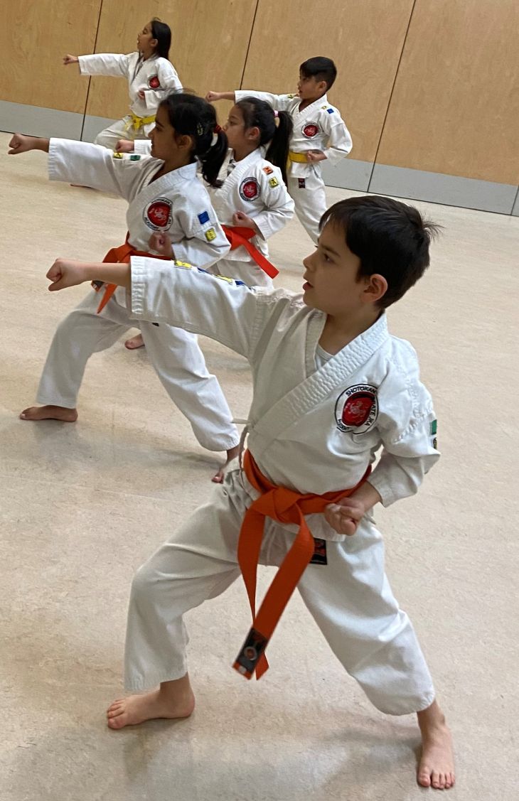 Shotokan Karate Classes in Watford for Children